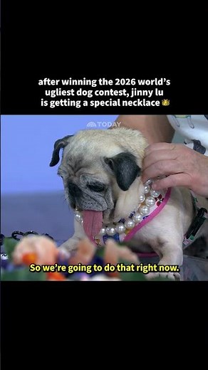 2026 World's Ugliest Dog