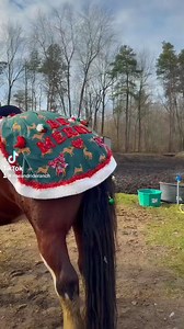 7.9K views · 237 reactions | Holly Jolly rides are only a month away and the spaces are already half full! 朗♥️ Be sure to book yours today before they’re gone! https://www.riseandrideranch.com/holly-jolly-horseback-rides | Rise & Ride Ranch | Facebook