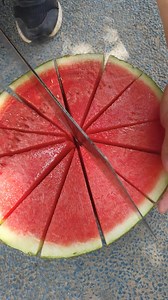 1.4M views · 4K reactions | Fresh Watermelon Cutting skill #reels #watermelon #freshwatermelon #watermeloncutting #freshfruits #fruits #fruitfulharvesting #farming #farmer #vegan #viral #trending | Fruitfulharvesting | Facebook