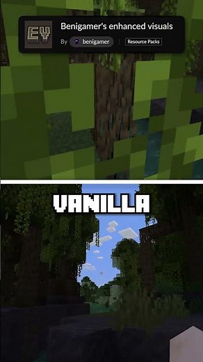 Minecraft NEW Benigamer's enhanced Visuals #shorts