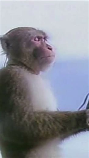 How it feels listening to gats