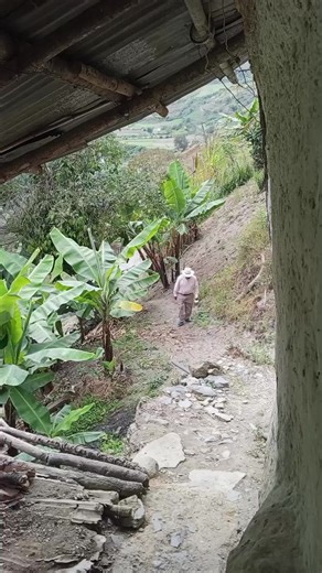 Videos de beto (@beto00939) con “original sound - @chefjose6950”