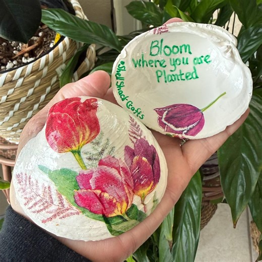 Floral Themed Kindness Friendship Gift Shells - Etsy