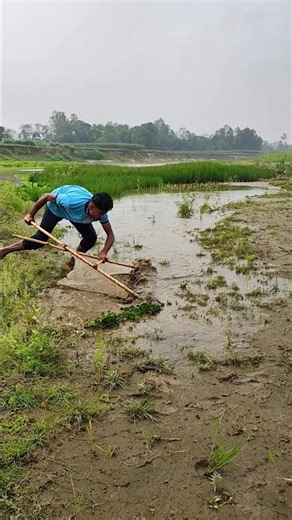 Fishermen are catching fish with incredible techniques #fishing #fish