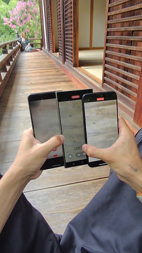 Pixel 8 Pro vs S22 Ultra: Camera Comparison