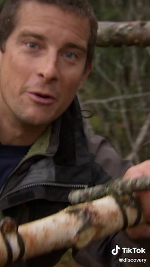 Bear Grylls Trap Setting: How to Build a Deadly Trap