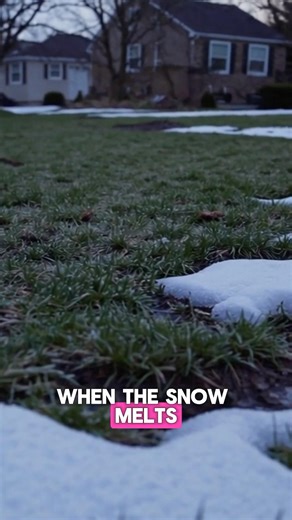 What Spring Rush REALLY Means for Scoopers