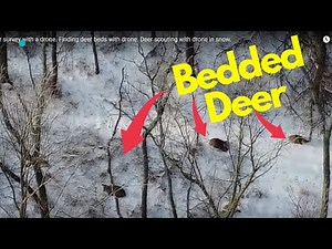 Deer survey with a drone. Finding deer beds with drone. drone deer scouting. DJI Mini