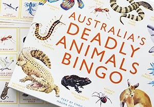 Australia’s Deadly Animals Bingo! - National Geographic Kids