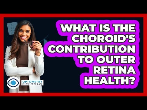 What Is The Choroid's Contribution To Outer Retina Health? - Optometry Knowledge Base