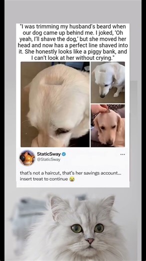 One split-second mistake turned this into something you can’t unsee