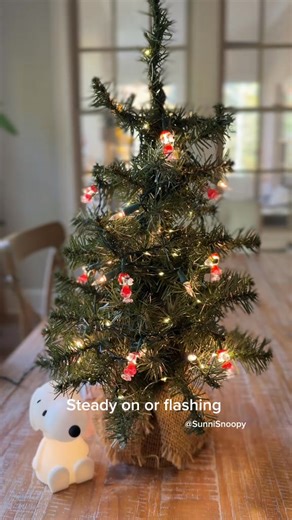 11 reactions |  Ready to Light Up Your Holidays with Snoopy? This adorable mini Snoopy Christmas lighting brings the beloved Peanuts characters to life, adding a touch of nostalgia and joy to your festive decor! 樂❤ | Loyaltyous | Facebook