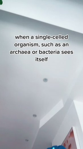 Understanding Binary Fission in Archaea | The Muscle Song by AsapScience