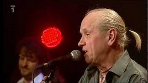 Milan Schelinger - Jahody mražený