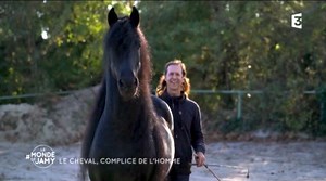 Frédéric Pignon et l'un de ses entiers frison - Phoebus - dans l'émission diffusée sur France 3 "le monde de Jamy" au cours d'un reportage sur les chevaux, leur intelligence, leur relation à l'homme (12min) | Le cheval Frison