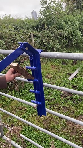 TikTok - Make Your Day