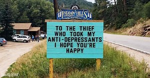 Someone is putting up the funniest signs – and the puns are priceless!