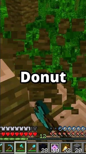 Fastest Money Method on Donut SMP? 💰