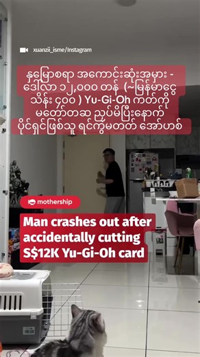 😭 နှမြောစရာ အကောင်းဆုံးအမှား - ဒေါ်လာ ၁၂,၀၀၀ တန် (~မြန်မာငွေ သိန်း ၄၀၀ ) Yu-Gi-Oh ကတ်ကို မတော်တဆ ညှပ်မိပြီးနောက် ပိုင်ရှင်ဖြစ်သူ ရင်ကွဲမတတ် အော်ဟစ် ရှားပါးပစ္စည်း စုဆောင်းသူတွေအတွက်တော့ ပစ္စည်းတစ်ခုရဲ့ အခြေအနေ (Condition) က အသက်ပါပဲ။ ဒါပေမဲ့ အခုဖြစ်ရပ်မှာတော့ ပိုင်ရှင်ဖြစ်သူဟာ သူ့ရဲ့ ဒေါ်လာ ၁၂,၀၀၀ (စင်ကာပူဒေါ်လာ ၁ သောင်းကျော်) တန်ဖိုးရှိတဲ့ Yu-Gi-Oh ကတ်အထုပ်ကို ဖောက်တဲ့အချိန်မှာ မတော်တဆ ကတ်ကြေးနဲ့ ညှပ်မိသွားခဲ့ပါတယ်။ 📍 ဘာတွေဖြစ်ခဲ့တာလဲ? ဗီဒီယိုမှတ်တမ်းတွေအရ ပိုင်ရှင်အမျိုးသားဟာ ကတ်အထုပ်ကို ကတ်