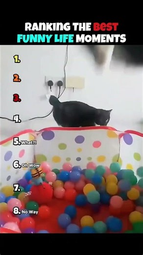 Ranking The Best Funny Life Moments #usa