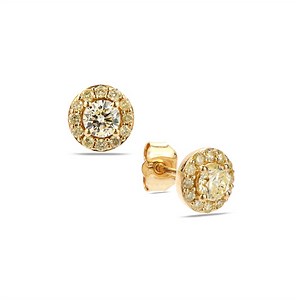 Ellendale Yellow Diamond Earrings in 9K Gold 0.75ct