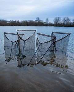 211K views · 2.1K reactions | 3 Rod Wipe Out Challenge!  . @tomdove11 and @tom_maker go head to head @linearfisheriesofficial in a 3 rod wipe out challenge! . Platinum VS Greens 亮 LET'S GO! . . #kordaofficial #korda #carpfishing #kaizenrods #linearfisheries #carp #angling #fishingtime | Korda Developments | Facebook