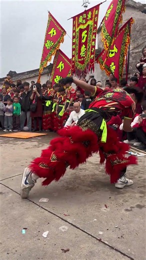 醒狮队阳刚帅哥表演高难度「醉拳」太精彩了！#醒狮 #民间艺术表演 #醒狮文化 #舞狮 #非遗文化里的年味有多浓 #china #chinesenewyear