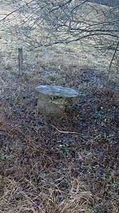 85K views · 304 reactions | I opened an evil well and was afraid of what was inside! | Searching For treasures | Facebook