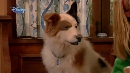 Dog with a blog s01 ep01