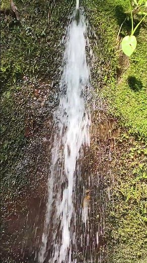 Looking Around : Discovering a Small Waterfall at Coban Rondo, Malang, East Java