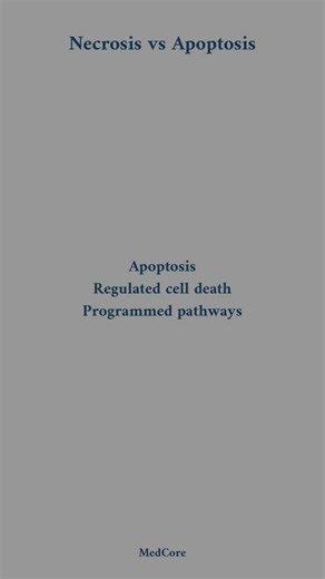 Necrosis vs Apoptosis "Core difference" Source: Robbins & Kumar basic pathology. #necrosis#Apoptosis