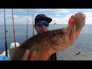 Winter Fishing San Diego S9 Rock Cod + Tips n Tricks & Coronado Islands Recon