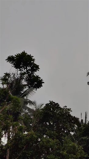 Videomentahan: Ide Kreatif untuk Konten Menarik