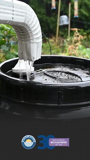 Rain is on the way! Now’s the perfect time to prep your rain barrel — clear debris, check your screen, and make sure everything’s sealed and ready to collect those first precious drops. ️ | West Basin Municipal Water District | Facebook