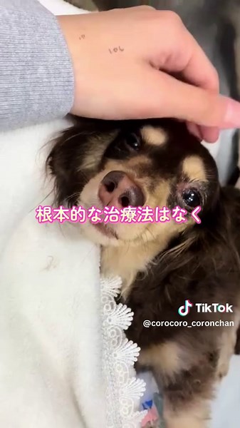 ヘルニアと脊髄軟化症の知識を深めよう