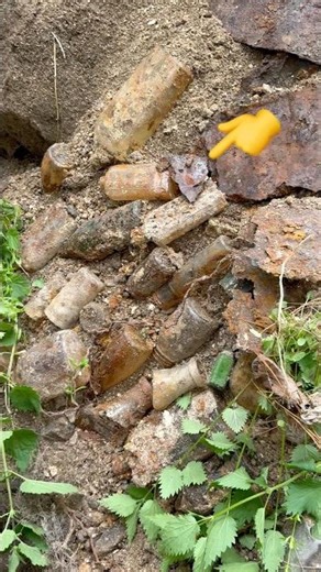 Shocked to Unearthed So Many Finds - Bottle Digging Canada 🔥 #shorts #history #antique #vintage