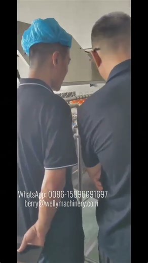 Automatic egg washing-drying-cracking production line | Complete egg liquid processing equipment