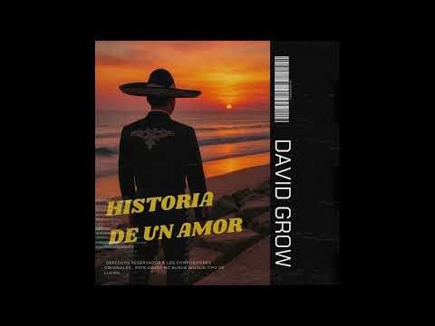 Fallaste Corazon / Cover by David Grow