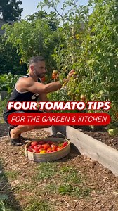 201K views · 2.9K reactions | Top tomato tips. There are plenty of tricks for growing tomatoes, but these ones will also help you enjoy eating them even more. Which ones will you try? Buon giardinaggio! . . . . . . . . . #garden #gardening #gardenlife #grow #plants #gardener #plant #diy #howto #organic #reels #tips #vegetables #summer #tomato #cooking #food #foodie #recipe #harvest #homemade #plants | The Young Nonno | Facebook
