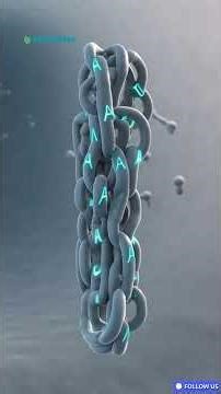 How Insulin Is Made in the Human Body | Insulin Production Explained | Biology