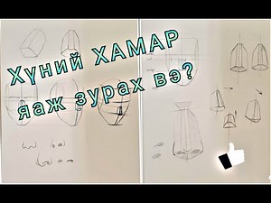 Хүний хамар хэрхэн зурах вэ Хичээл 5