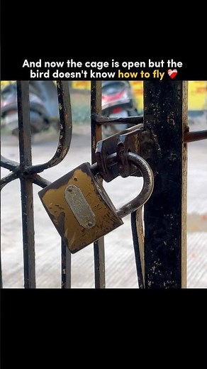 It’s a trap❤️‍🩹 #job #responsibility #carrier #boys #corporatelife #corporate #lifelessons #trend