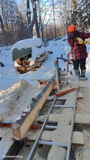 easy to use chainsaw mill from Norwood Sawmills