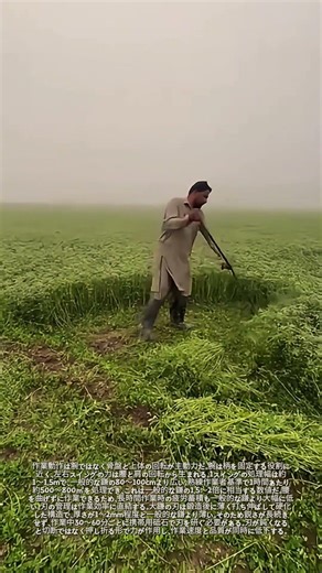 大鎌で草を刈る作業：長い柄で広い草地を水平に切断する技術