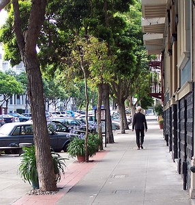 Measuring neighborhood diversity and liveliness with ‘JaneScore’