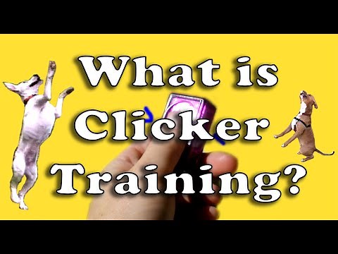 What is Clicker Training?