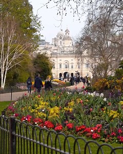 236K views · 57K reactions | Discover St James’s Park with us, the...