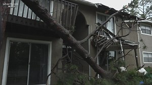 Elsa's aftermath: Florida communities clean up tropical storm damage