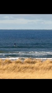Sure, you’ve surfed the Cove but have you surfed slightly *above* the Cove like magic? . . . #SeasideOregon #SeasideisforFun #Hydrofoil #Surf #SurfsUp #OregonCoast #TravelOregon #Exploregon #Seaside #PNW #Oregon #ThePeoplesCoast #BeachLife #Play #Travel #ColdWaterSurf #Beach #BeachLife #TravelWithFriend #SeasideBeach | Visit Seaside, Oregon
