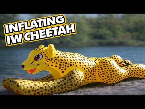 Bringing the IW Cheetah to Life 🐆✨ Inflation Time on the Lake!